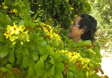 Mitsuaki Sasano visits the cultivations of Floriano Schäffer